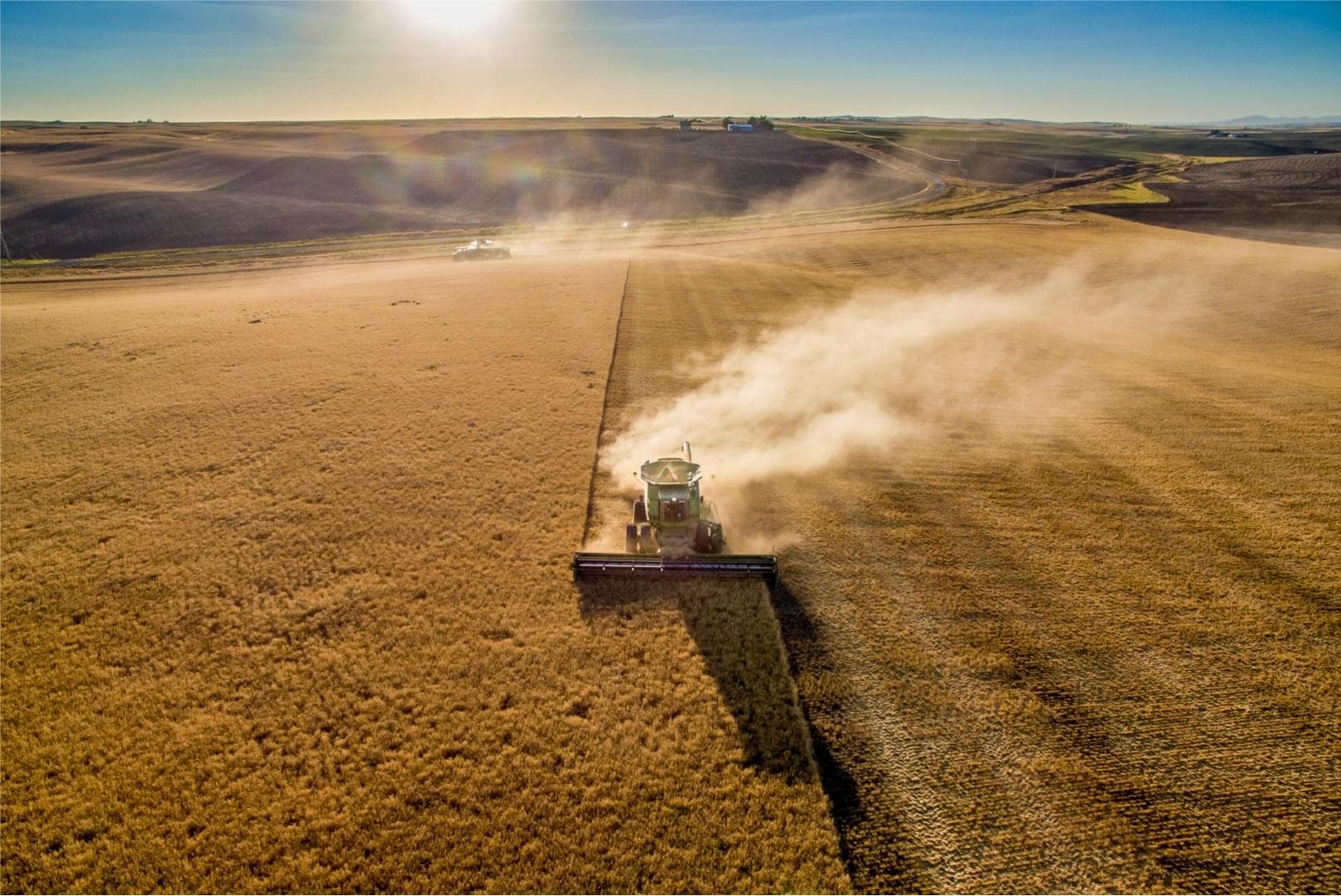 Farming in fields of wheat