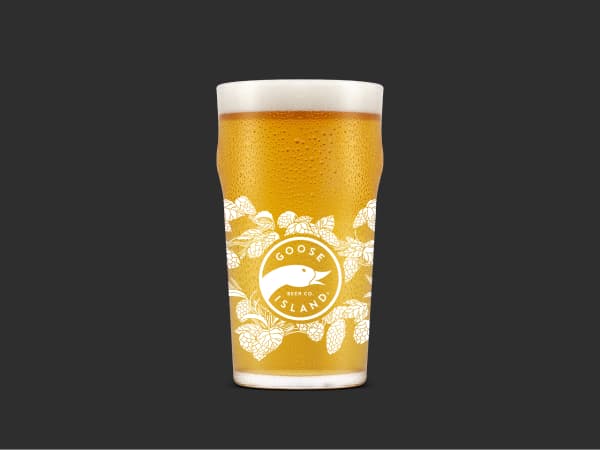 Goose Island Drink Have Fun Pint Glass